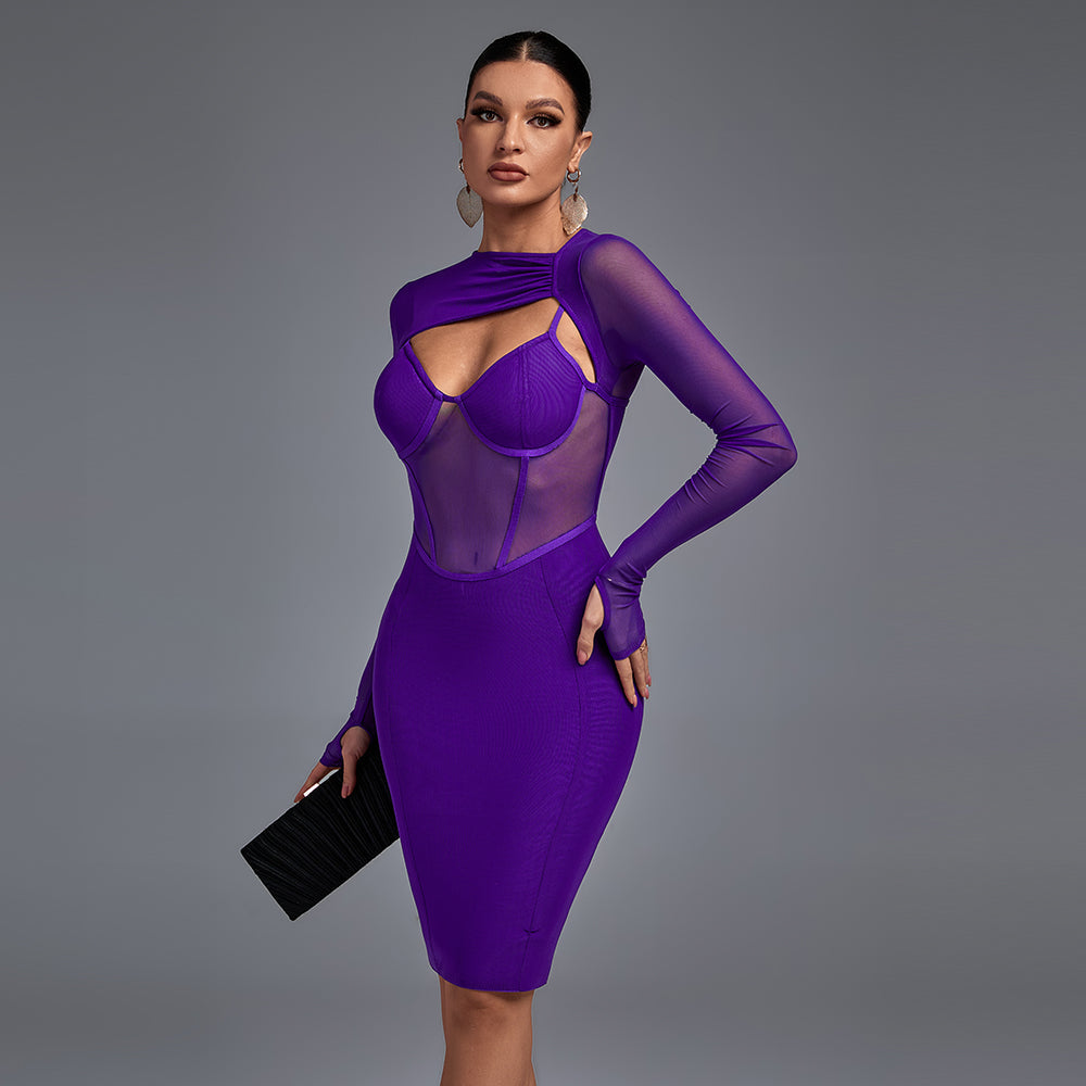 Long Sleeve Cut Out Mesh Bandage Dress PP211028