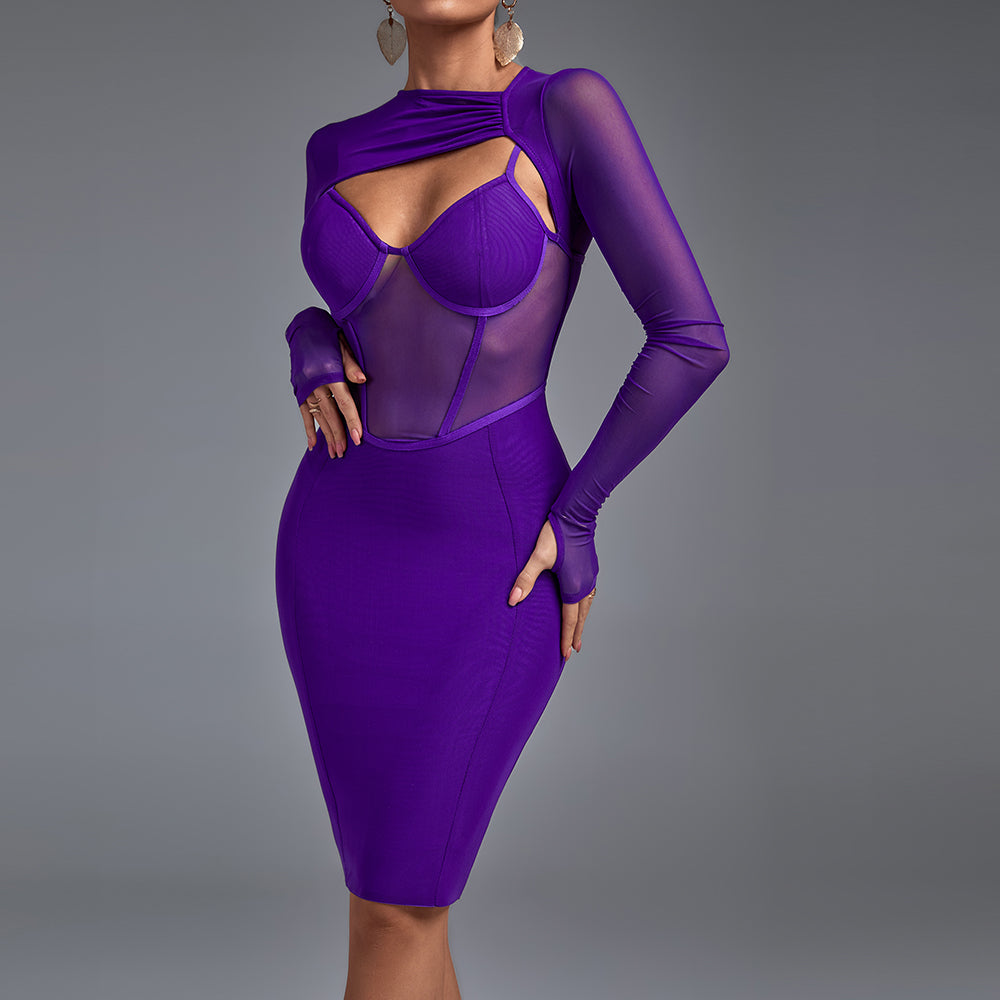 Long Sleeve Cut Out Mesh Bandage Dress PP211028