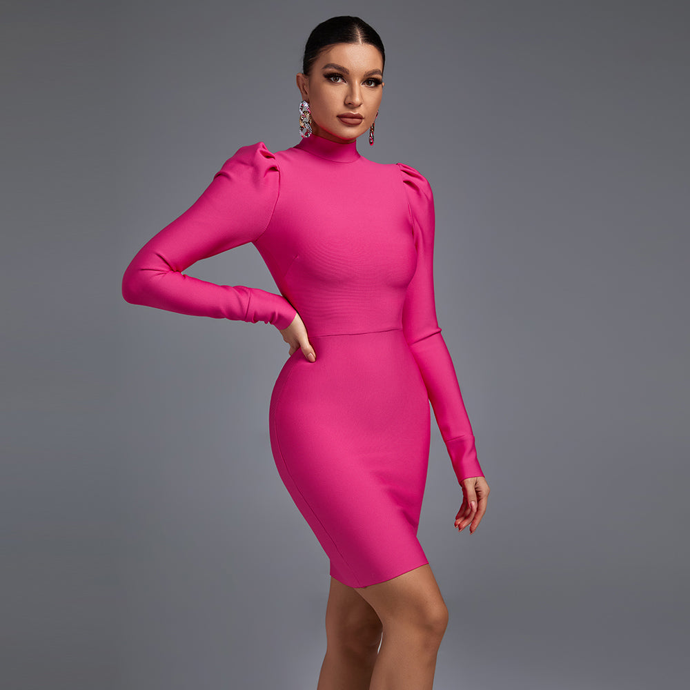 Rose High Neck Long Sleeve Plain Mini Bandage Dress HL8584