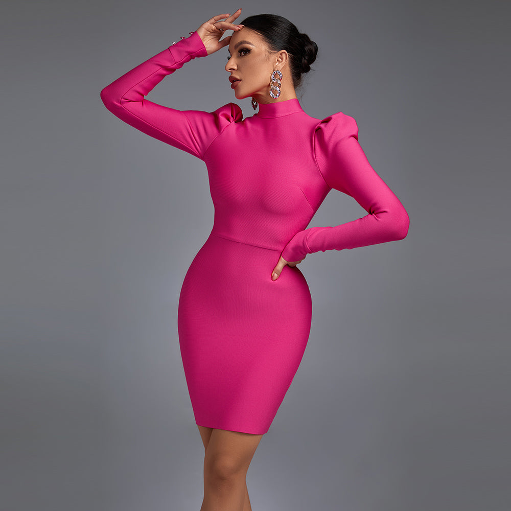 Rose High Neck Long Sleeve Plain Mini Bandage Dress HL8584