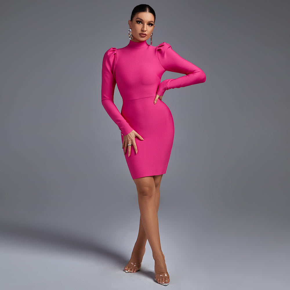 Rose High Neck Long Sleeve Plain Mini Bandage Dress HL8584